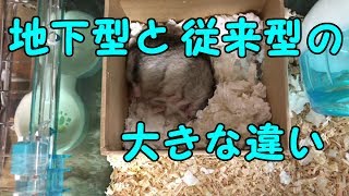 従来型と地下型の違い