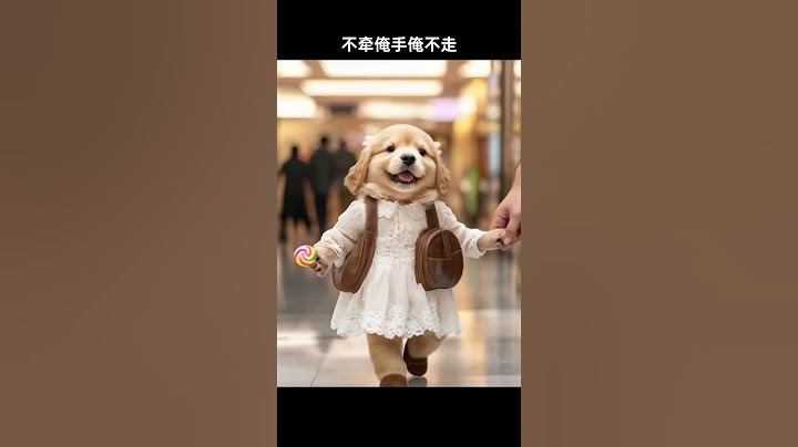 嘿，孩子调皮了，不牵他，他就不走。#萌宠出道计划 #哈喽啊小金毛 #金毛 #小金毛的日常 #萌宠金毛胖胖