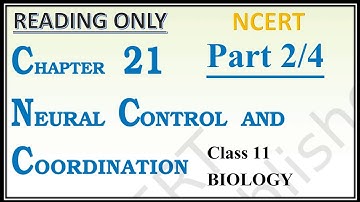 (Reading only) Neural control & Coordination | Part 2/4 | Class 11 | BIOLOGY | NEET | NCERT | Ch- 21