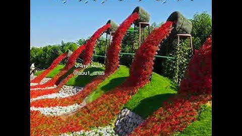 آيات القرآن الكريم