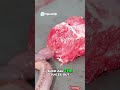World’s Only Animal with Copper Teeth! And It Eats Meat. New pet blood worm 🪱🐛🐛 #pets #inspiration