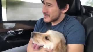 A Day With Chica   Part 6 - Markiplier - (Final part)