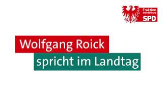 Wolfgang Roick zur Klimastrategie für Brandenburg #ausdemlandtag