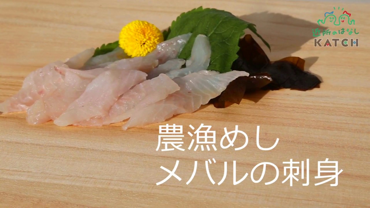 三河湾の高級魚 メバル を手軽に 無駄なく味わいつくす 刺身とアラ汁のレシピ 農漁めし Vol 1 Katch キャッチネットワーク