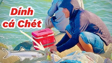 Câu Cá Chét Khủng – Vui Không Tả Nổi!!!