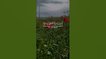 تلاوة هادئة من سورة النجم🎧🤍 | القارئ عبد العزيز سحيم Abdelaziz Sheim