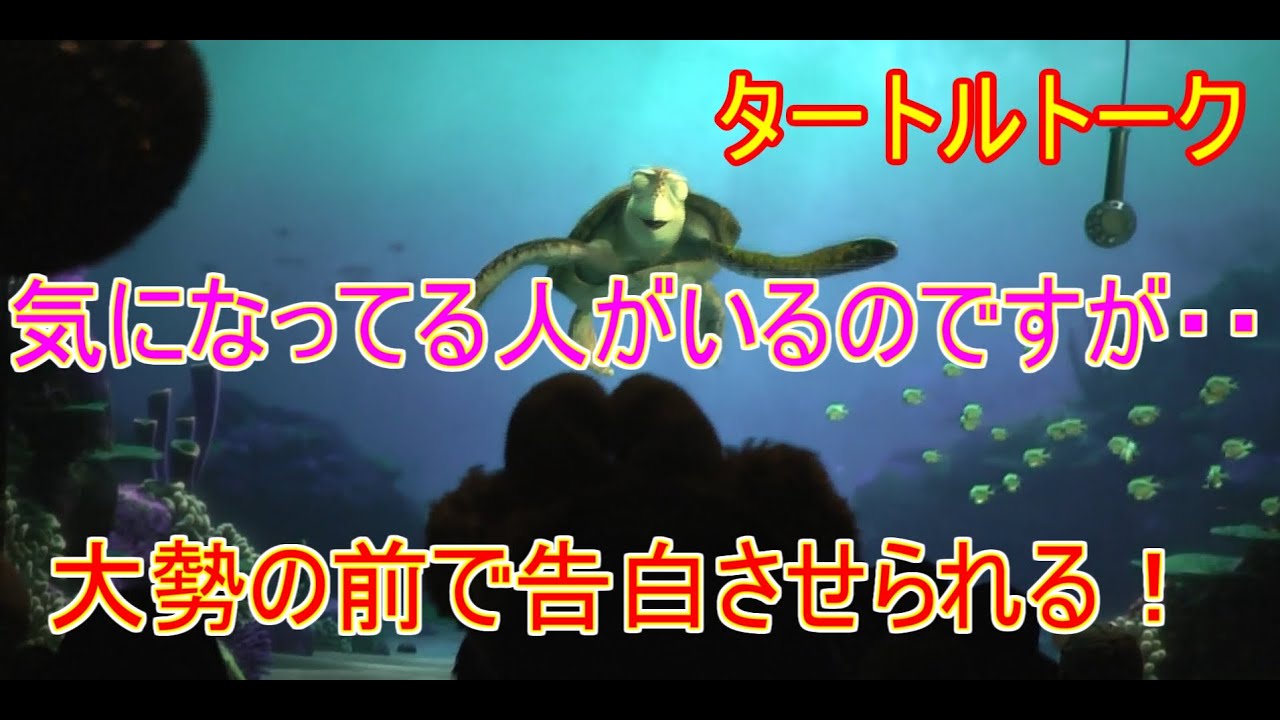 気になる人 大勢の前で告白させられる女性 タートルトーク 東京ディズニーシー Youtube