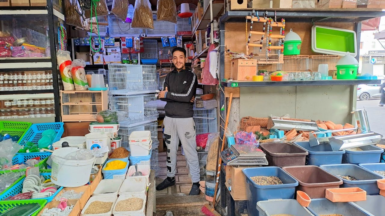 احسن خلطة+اسعار الاقفاص 🐦اثمنة الاكل🌾 ومستلزمات الطيور بسوق القريعة🦜اكبر سوق في المغرب.الجملةوتقسيط