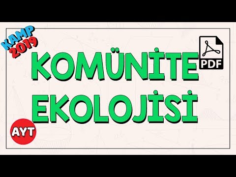 Komünite ve Popülasyon Ekolojisi | AYT Biyoloji