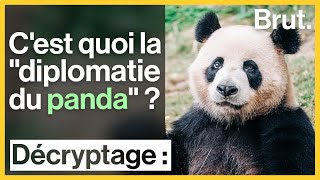 C'est quoi la "diplomatie du panda" ? screenshot 5