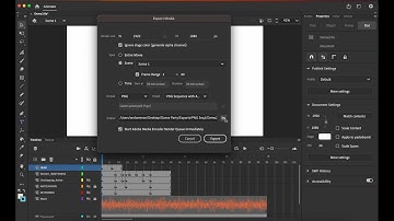 Adobe Animate: Export Movies
