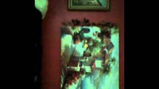 IMG 0001