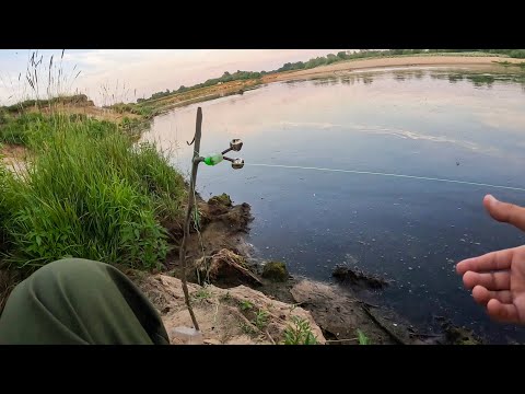 Я аж ОФИГЕЛ, КОГДА его ДОСТАЛ! Рыбалка на ДОНКИ, без ЗАМОРОЧЕК с ночевкой летом в 2024
