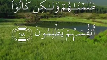 سورة النحل صفحة ٢٨٠ مكتوبة مكررة بصوت سعد الغامدي