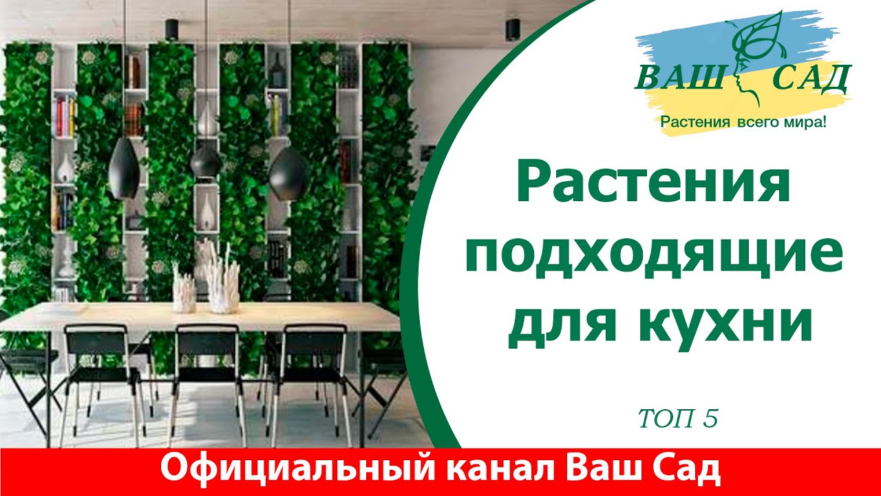 ТОП 5 растений для кухни от Ваш сад