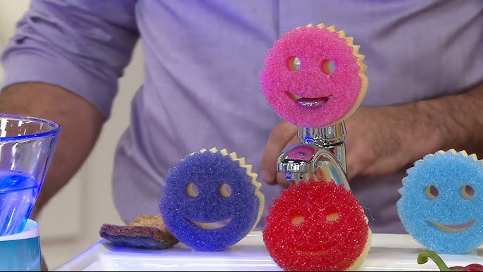 Whatever Happened To Scrub Daddy Sponge After Shark Tank Season 4?