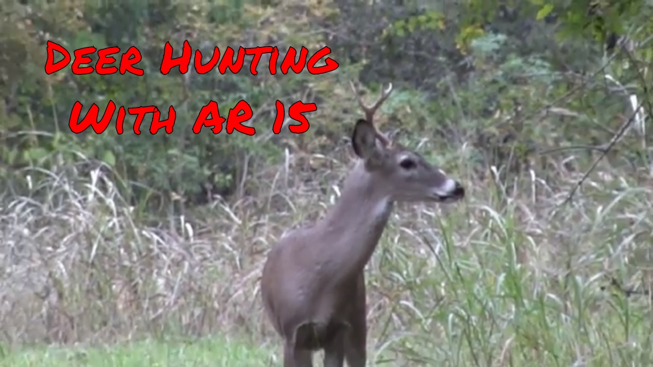 Deer Hunting With AR15 YouTube