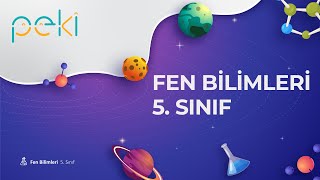 Ortaokul Fen Bilimleri 5.Sınıf Madde Ve Değişim Maddenin Hal Değişimi 5