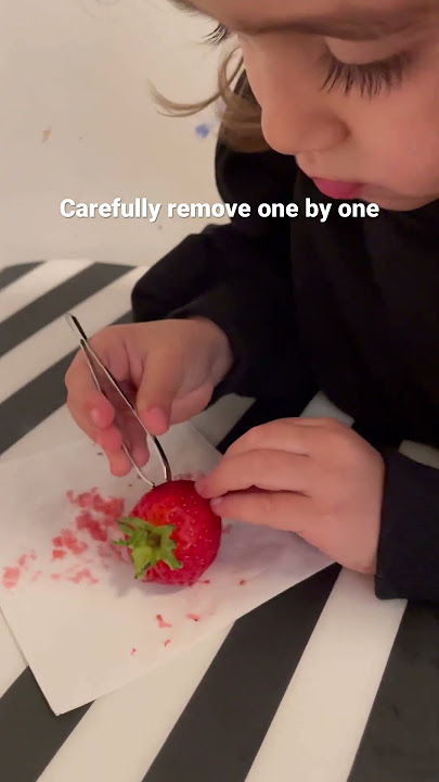 How to collect and germinate strawberry seeds
