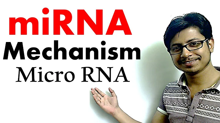 miRNA | micro RNA mechanism of gene silencing