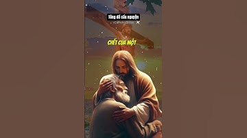 🛑Cầu nguyện buổi tối  | Lời Chúa hôm nay | radio mến yêu hằng ngày #chúa #giesu #shorts