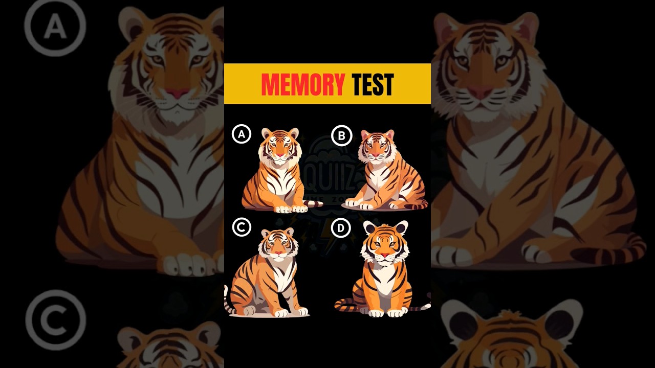 Test Your Memory Power :  Guess the Correct One ⁉️ Memory Test Puzzles | Memory Quiz |