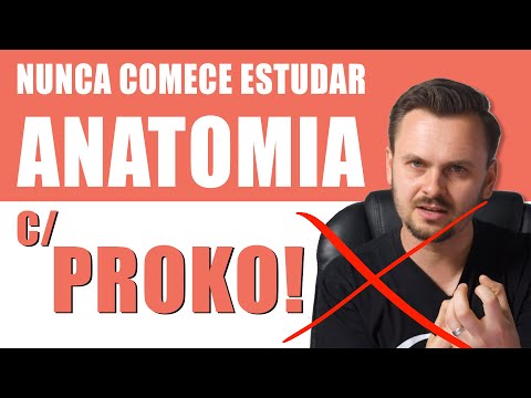 ⛔ COMO ESTUDAR