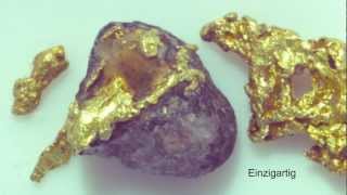 Auf der Gold-Nugget-Suche im Rhein Medel