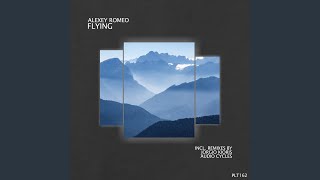 Flying (Audio Cycles Remix)