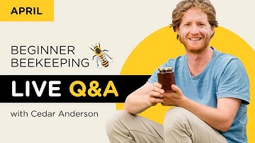 Beginner beekeeping live Q&A with Cedar
