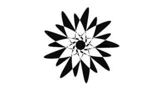 Math Art Music Visualizer | FourierArt 