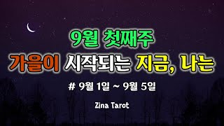 [타로/주간운] 9월 첫째주 1일부터 5일까지 나에게 어떤일이생길까 주간운