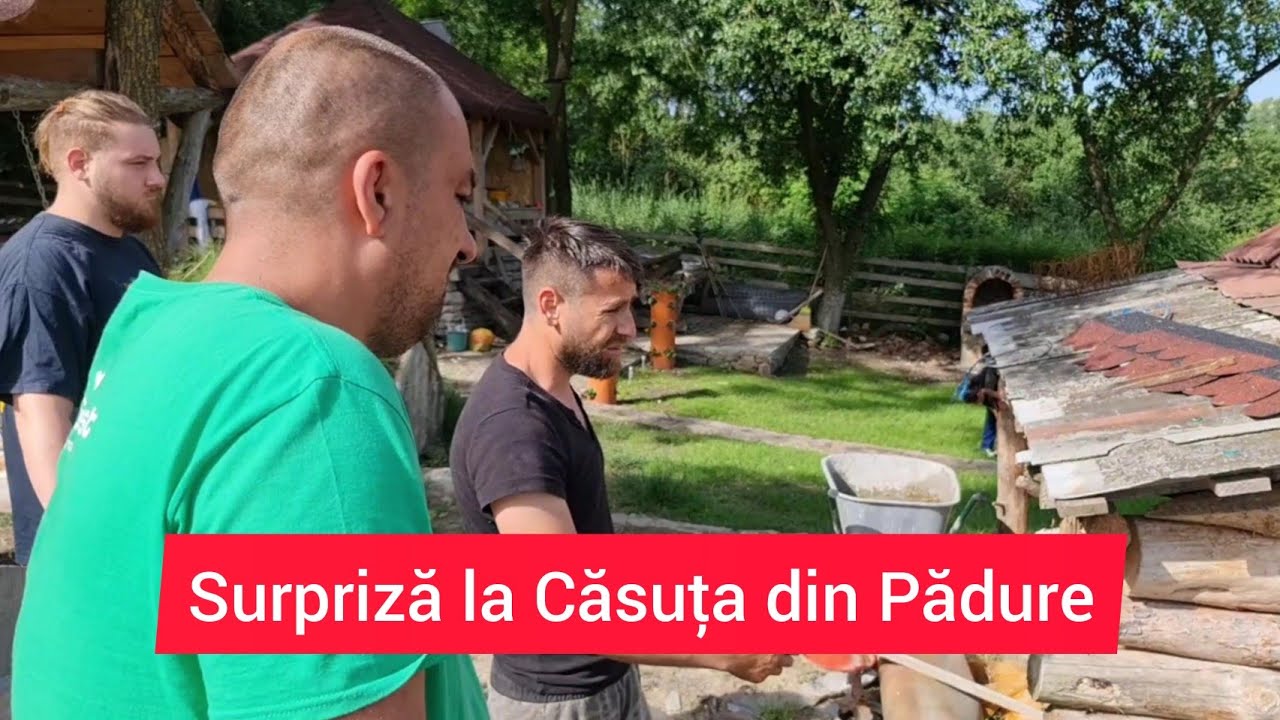 Casuta Din Copac Tiberiu Si Cornel