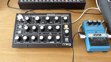 Moog Minitaur & DOD FX90