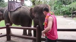 Al GHAZALI | KOK DI PEGANG ANUNYA,GAJAH WIK WIKKK - Durasi: 0:17. Al GHAZALI | KOK DI PEGANG ANUNYA,GAJAH WIK WIKKK - Durasi: 0:17.