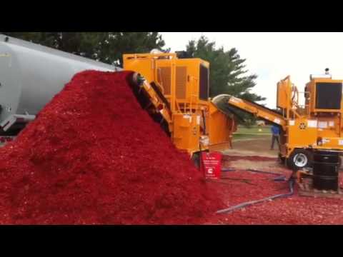 Copeaux de Bois Colorés - Rouge - Vente en ligne au meilleur prix