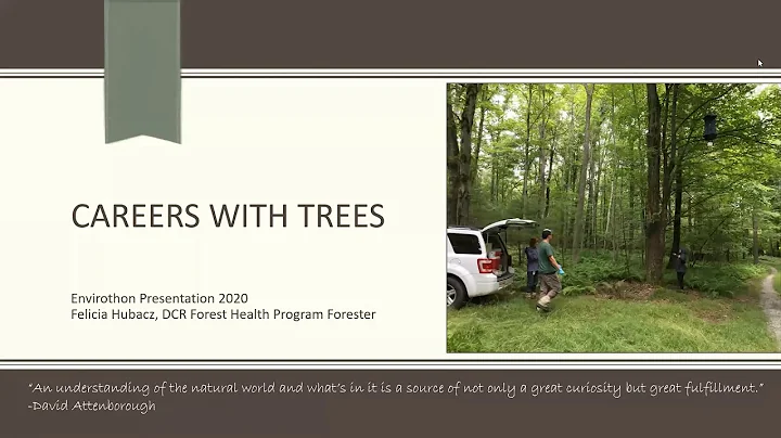 Careers with Trees with Felicia Hubacz, Ruth Sewar...