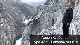 Арсен Курбанов Сура Аль-Бакара Аят 6-8