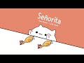 Bongo Cat - Señorita (Mr. Chicken)