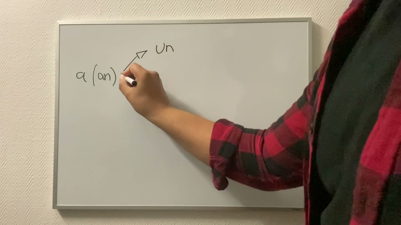 French Class Lesson 2 The articles in French