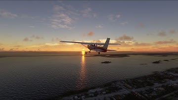 fs 2020 - NeoFly 2.0.1