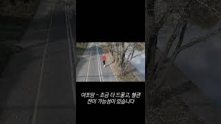 갑상선암이 착한암이라고?