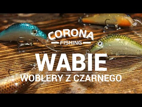 Przynęty Corona Fishing 