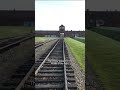 #weremember - Parliament marks the Holocaust Remembrance Day
