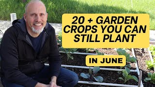 20 + Summer Garden Crops you can still plant in June! - It’s not too late to plant a garden