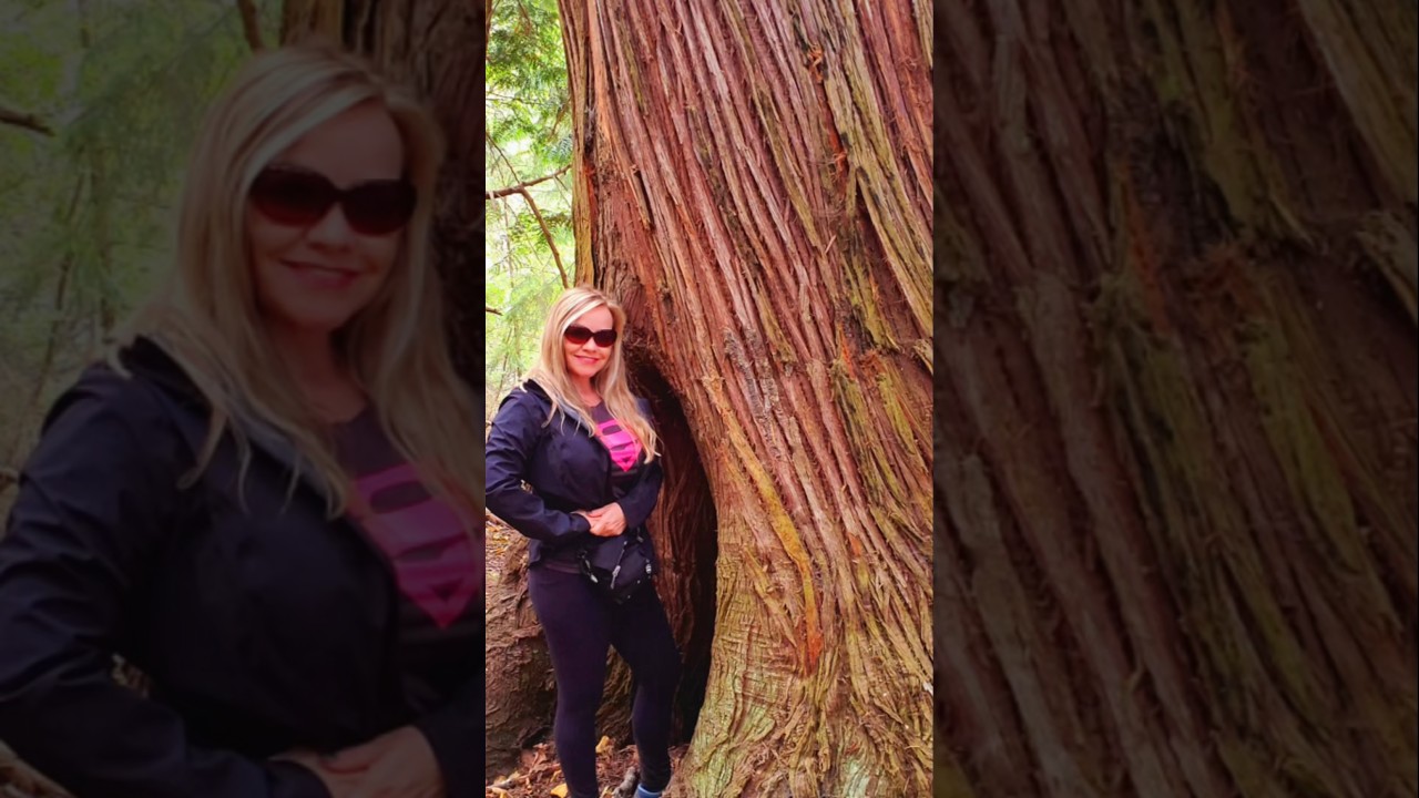 When the forest runs straight into the sea… 