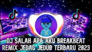 DJ SALAH APA AKU BREAKBEAT REMIX TERBARU 2023