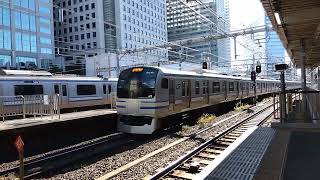 横須賀線E217系Y-28編成撮影