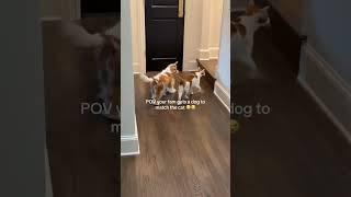 @meaganchandller: Wasn’t even intentional but they’re twinsss #cat  #catlover #kitty