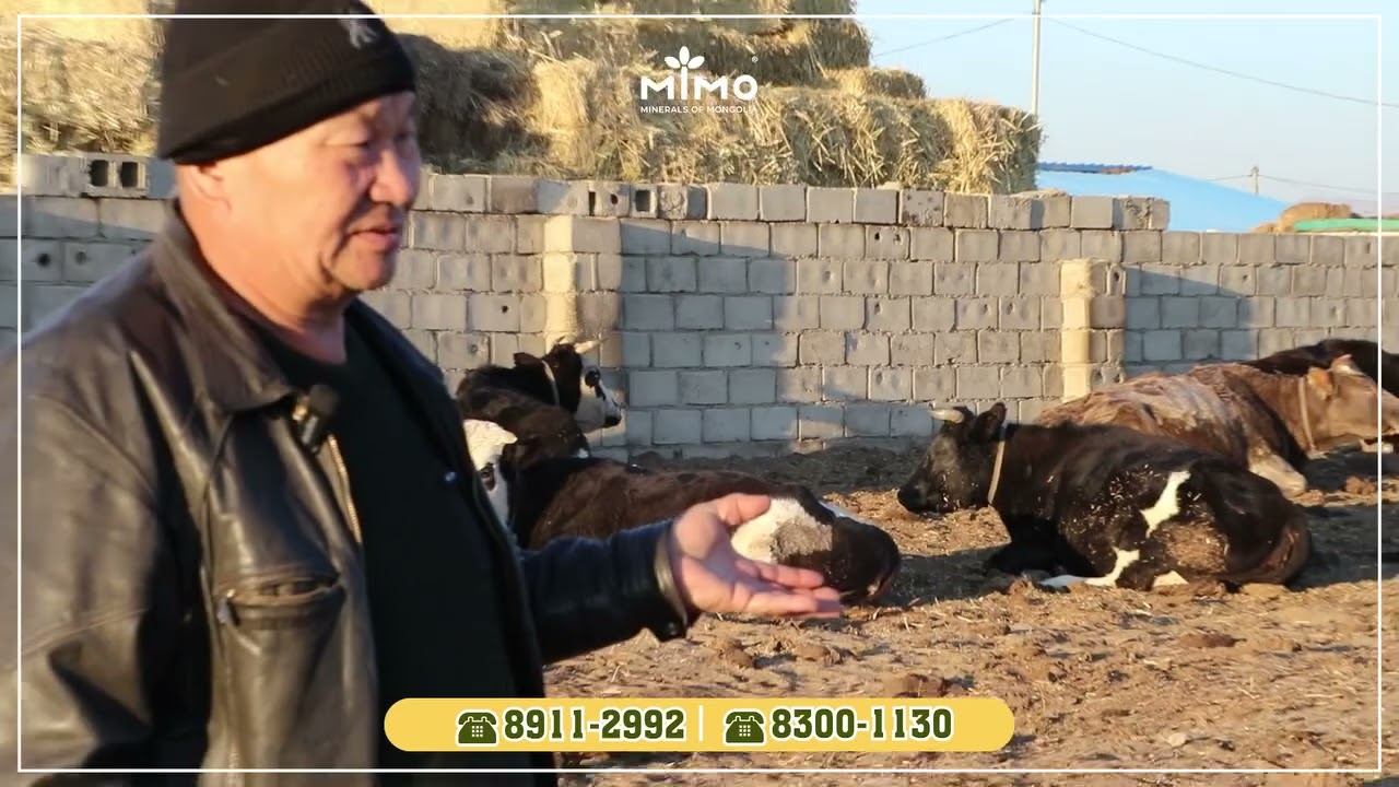 👨‍🔬Дэлэнт мал дандаа дээшээ...